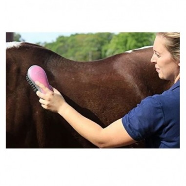 Kit de aseo para Caballos - Oster® Rosa