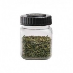 Mini Vaso de Licuadora...