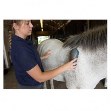 kit de aseo para Caballos - Oster® Azul