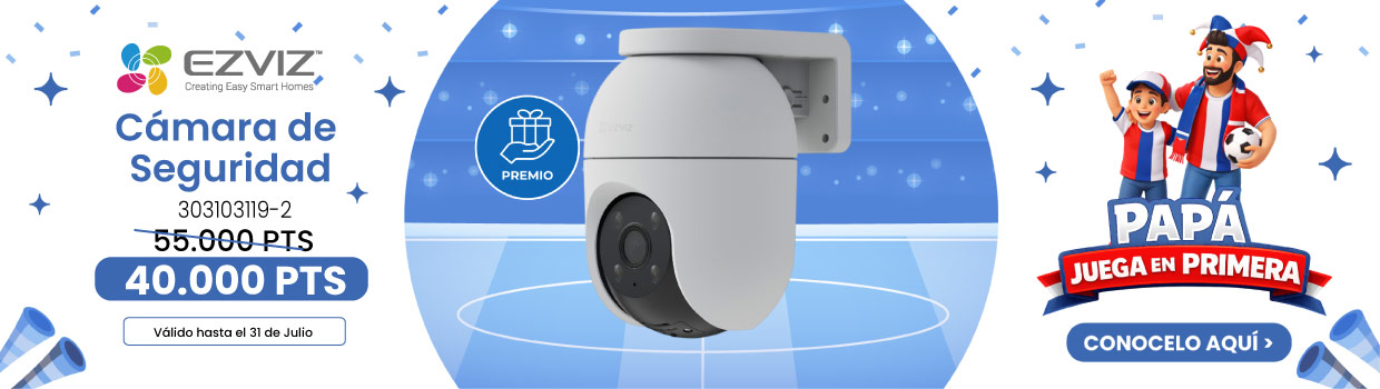 Camaras dx seguridad